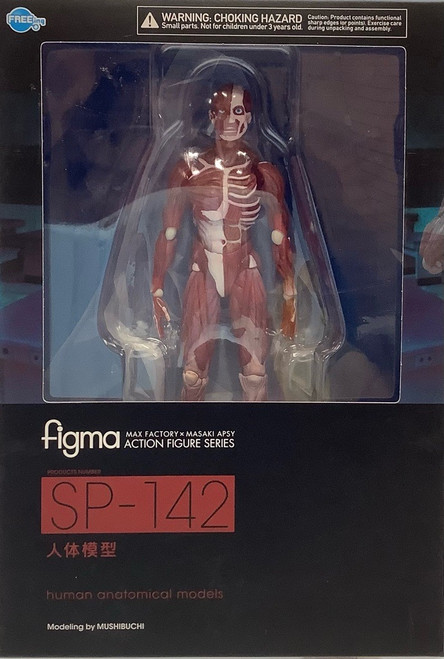 figma: figma - Human Anatomical Model (#SP-142)(105105868)