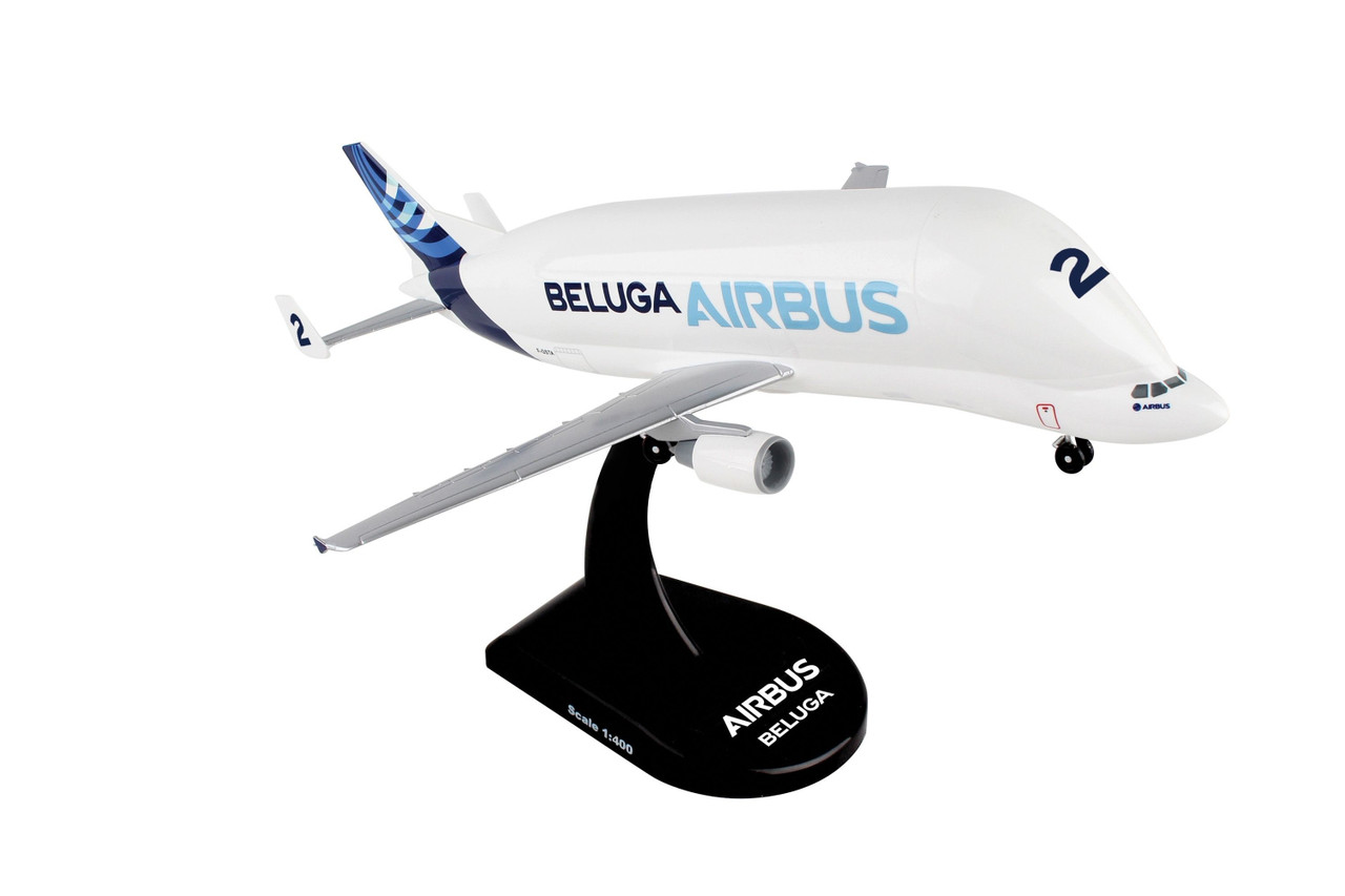 Beluga 2 store