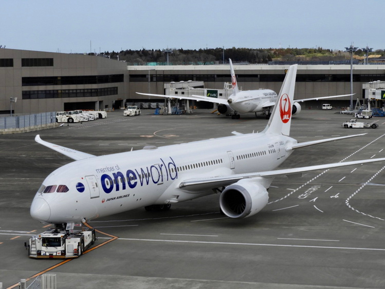 JAL B787-9 JA861J oneworld塗装-