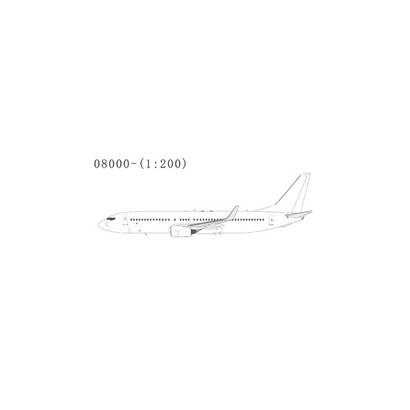 NG Model Blank Model Boeing 737-800/w 1/200 08000