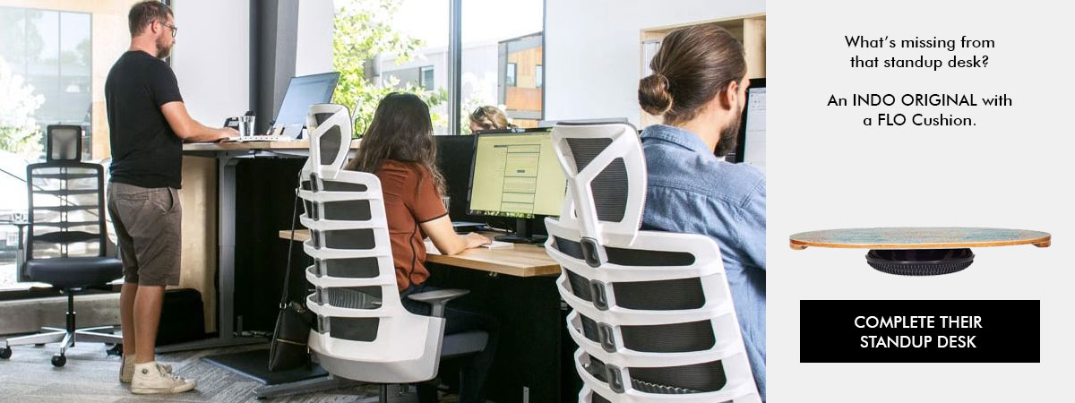 INDO BOARD Standup Desk