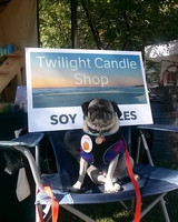 Requests for Scents at the Festival
