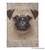 Pug Puppy Sherpa Fleece Blanket Pug Puppy Sherpa Fleece Blanket