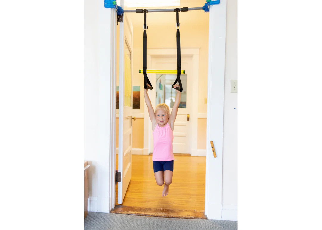 Kidtrix Deluxe Doorway Swing The Father Hen