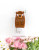 Veille Sur Toi - Night light - Eco-friendly - Canadian made - Winston the Brown Bear