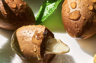 What is Argan Oil and it's Benefits for Your Hair What is Argan Oil and it's Benefits for Your Hair