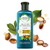 Herbal Essences Argan Oil of Morocco SHAMPOO- For Hair Repair and No Frizz- No Paraben, No Colorants, 240 ML