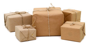 Shipping Insurance Orders up to $500