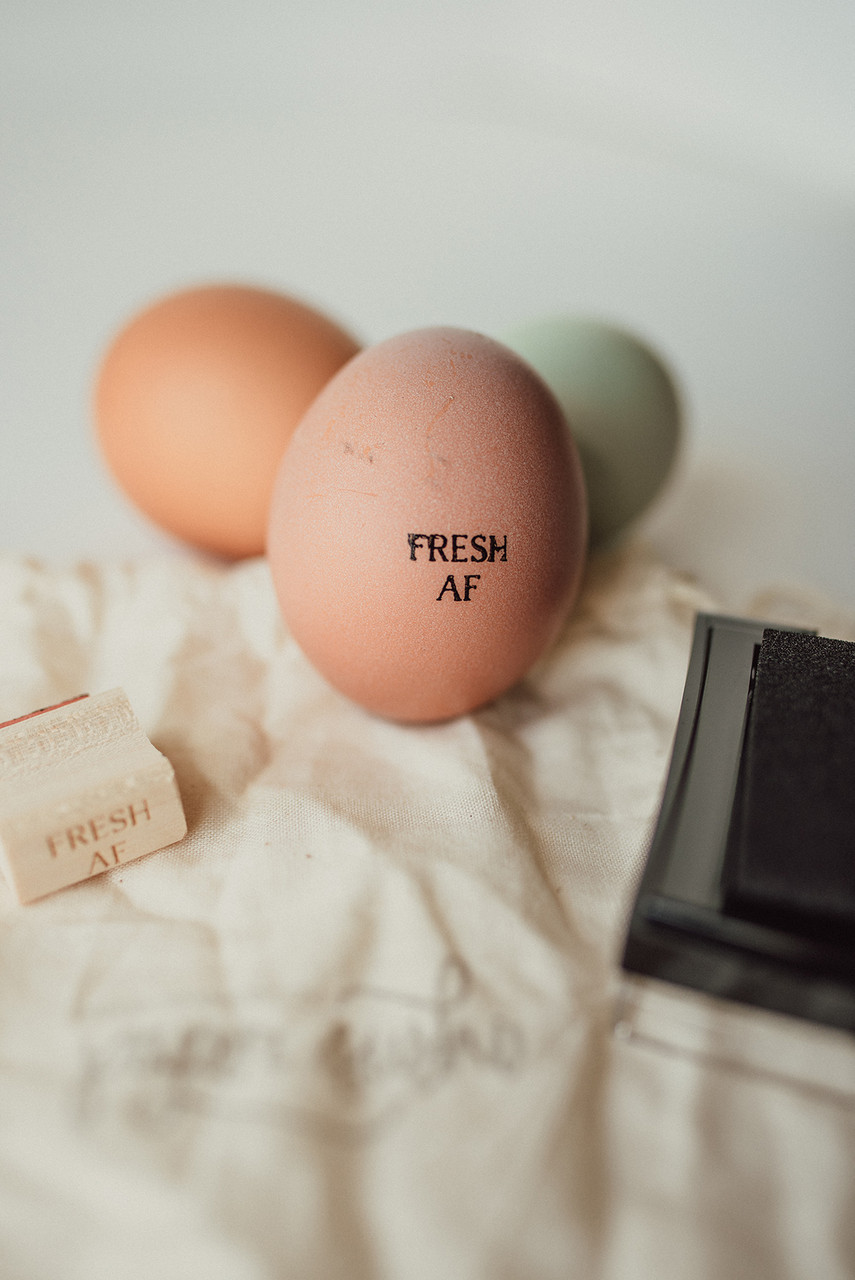  Egg Stamps For Fresh Eggs, Flat Rubber Stamp for Eggs, Chicken EGG  Stamp for fresh eggs, Egg Stamps, Custom Egg Stamp, Egg Labels, Mini Egg  Stamp, Farm Stamp, Eggs Stamp 
