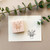 Bird's nest fern stamp by Paper Sushi