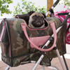 Rose, een hond van 16 lbs die reist in haar groene camouflage met roze lederen bekleding Celltei-hondendraagtas van de luchtvaartmaatschappij met kinderwagen en met haar gezin de wereld rondtoert Rose, een hond van 16 lbs die reist in haar groene camouflage met roze lederen bekleding Celltei-hondendraagtas van de luchtvaartmaatschappij met kinderwagen en met haar gezin de wereld rondtoert