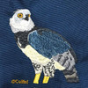 Celltei Harpy Eagle  Celltei Harpy Eagle