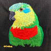 Celltei Salvador's Fig Parrot Embroidery Celltei Salvador's Fig Parrot Embroidery