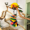 A stack of colorful rectangular wooden pieces separated by beads on a bendable wire, your bird can twist and turn the pieces or chew on them. The sound from the little cowbell will also cheer them up! A stack of colorful rectangular wooden pieces separated by beads on a bendable wire, your bird can twist and turn the pieces or chew on them. The sound from the little cowbell will also cheer them up!