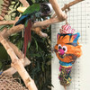 Filled it with hours of foraging goodies and treats, Tommy the Tiger is a shreddable pinata bird toys with a happy clown face and colorful outfits.  The body is a basket with flowers outside and long dried grass or dyed coconut fibers inside.  Place a few pieces of almonds or such inside visible to bird to make it extra fun for your bird! Filled it with hours of foraging goodies and treats, Tommy the Tiger is a shreddable pinata bird toys with a happy clown face and colorful outfits.  The body is a basket with flowers outside and long dried grass or dyed coconut fibers inside.  Place a few pieces of almonds or such inside visible to bird to make it extra fun for your bird!