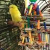 This is a beautiful bird toy with joyful colors and composition.  Full of beads and wickers, colorful plastic tubes thread like candles stacking atop each other to form an elaborated chandelier.  It is fun to play with and makes a decorative furniture for your bird cage! This is a beautiful bird toy with joyful colors and composition.  Full of beads and wickers, colorful plastic tubes thread like candles stacking atop each other to form an elaborated chandelier.  It is fun to play with and makes a decorative furniture for your bird cage!