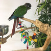 Wooden bits strung together to form a colorful bridge for your bird. This is a great toy for exercise, and for your bird to chew on! Wooden bits strung together to form a colorful bridge for your bird. This is a great toy for exercise, and for your bird to chew on!