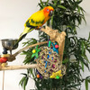 A natural sea grass pocket, with lots of colorful shredded paper. This is a great toy for your bird's foraging activities! A natural sea grass pocket, with lots of colorful shredded paper. This is a great toy for your bird's foraging activities!
