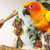 This colorful mini-pinata bird toy is all-natural, and a great toy for shredding! This colorful mini-pinata bird toy is all-natural, and a great toy for shredding!