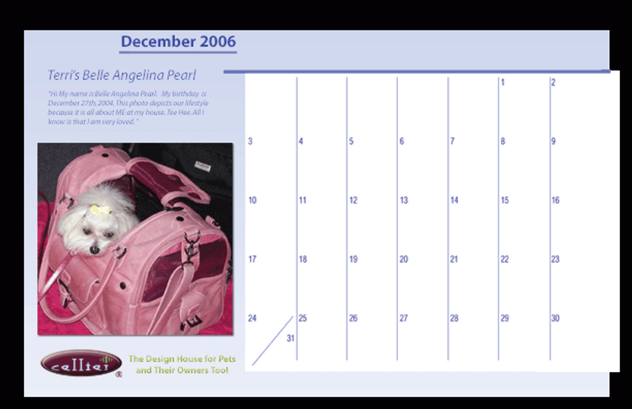 “Calendar Girls and Boys” –  December 2006