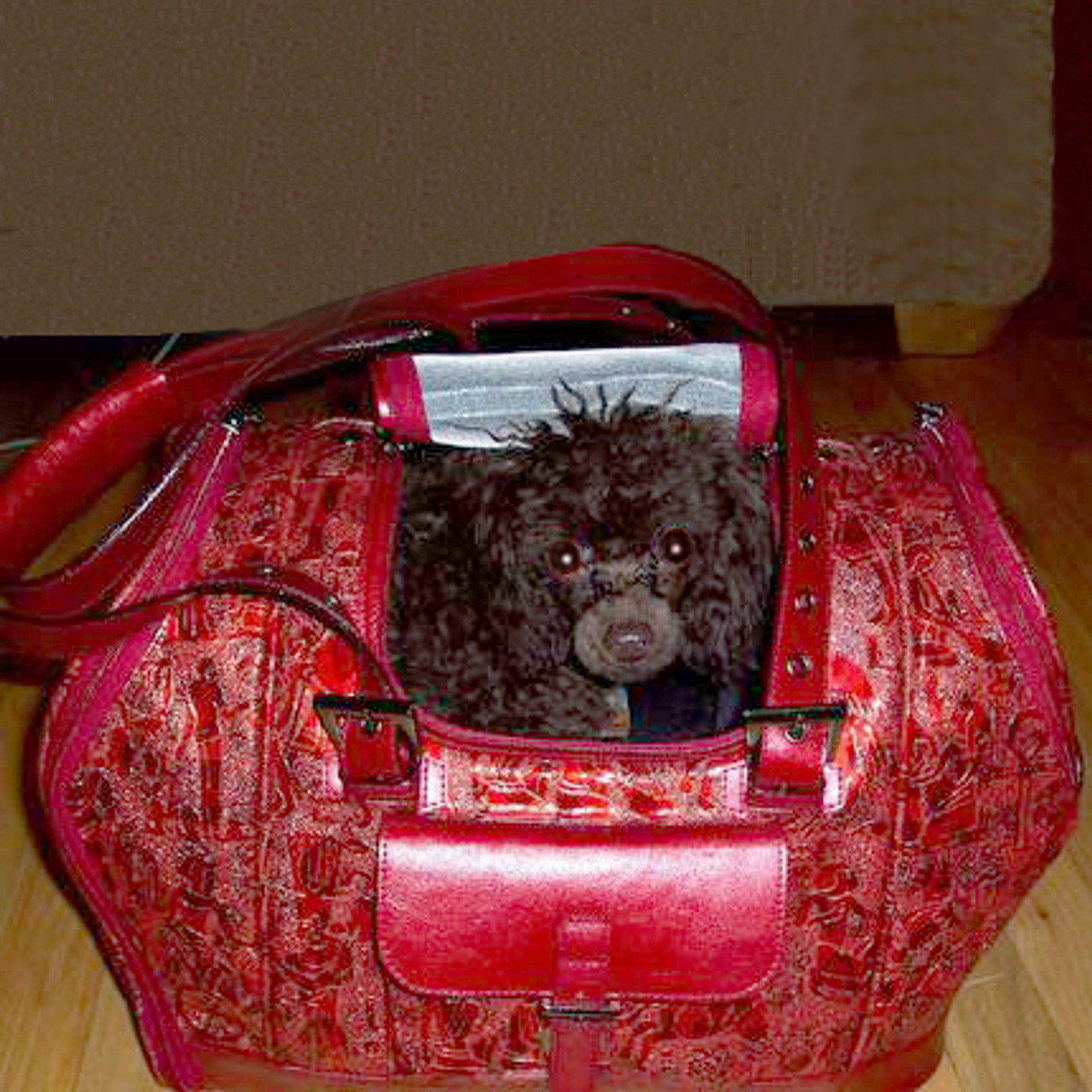 Summer Dog Tote Dog Bag Dog Tote Bag Dog Purse Pet Tote 