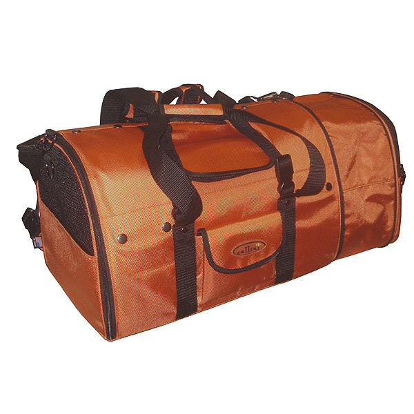 Pet Carrier for a 22 lb Cardigan Welsh flying on American Airlines