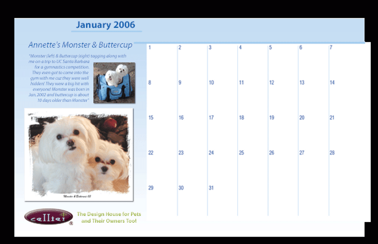 “Calendar Girls and Boys” – January 2006