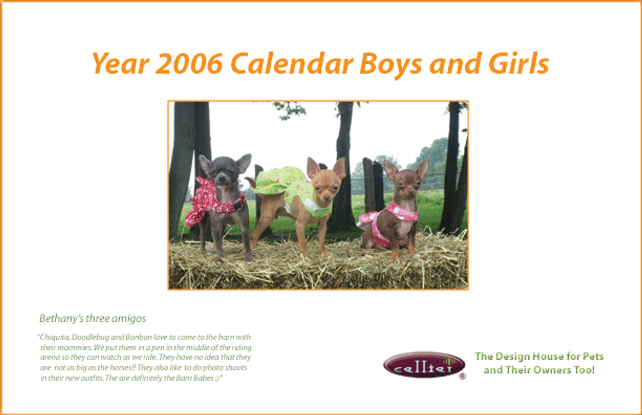 2006 "Calendar Girls and Boys"