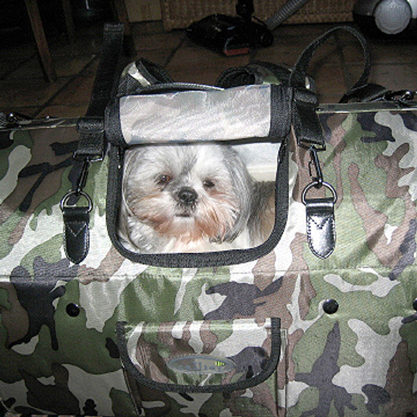 Shih Tzu dog Lacey playing with one of her favorite toys 