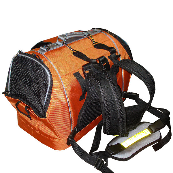 Pet Carrier for Motorcycle Ride with a Bull Dog andTerrier Mix