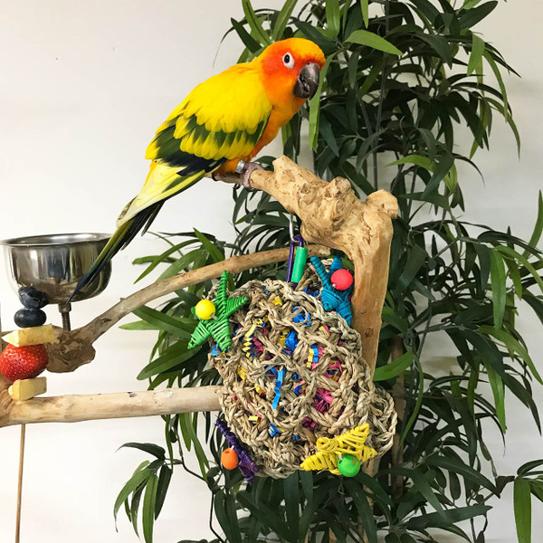 A natural sea grass pocket, with lots of colorful shredded paper. This is a great toy for your bird's foraging activities! A natural sea grass pocket, with lots of colorful shredded paper. This is a great toy for your bird's foraging activities!