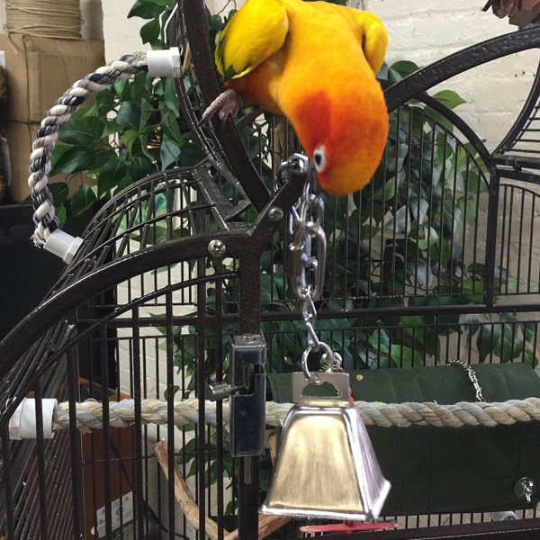 Birds love bells and become very excited by hearing them. You can use this on its own, or as a base for more interesting toy parts! Birds love bells and become very excited by hearing them. You can use this on its own, or as a base for more interesting toy parts!