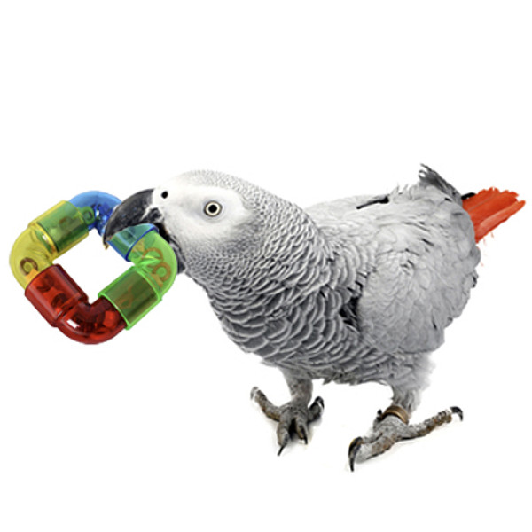 This transparent plastic square shape tube is filled with small beads and rings to make a fun rattle foot toy for your bird.  It's durable with both  smooth and bumpy surfaces to  promotes foot dexterity as your bird rattles on.   Be creative, you can also use this as the base to build an elaborated bird toy! This transparent plastic square shape tube is filled with small beads and rings to make a fun rattle foot toy for your bird.  It's durable with both  smooth and bumpy surfaces to  promotes foot dexterity as your bird rattles on.   Be creative, you can also use this as the base to build an elaborated bird toy!