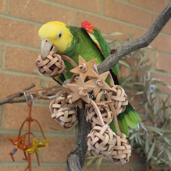 One of the most sought after bird toys, Pablo' Unlimited Pompoms is attractive, multi-functional, curious and fun.   Just check out the Grey shown on one of the product picture.  He is practicing with the pompoms for his first Birdie Olympic Gymnastic Event in 2022.   "Give me one, I can to do that too! said Sunshine, our Sun Conure.  Now, if you put some surprises inside the pompoms including one that make some noises, you can really get some beak and feet exercises out of the bird.  The free form pompom tree in natural tone just by itself is an artistic and decorative pieces for the living room.  Get a couple ones as a landing zone for your free flight bird too! One of the most sought after bird toys, Pablo' Unlimited Pompoms is attractive, multi-functional, curious and fun.   Just check out the Grey shown on one of the product picture.  He is practicing with the pompoms for his first Birdie Olympic Gymnastic Event in 2022.   "Give me one, I can to do that too! said Sunshine, our Sun Conure.  Now, if you put some surprises inside the pompoms including one that make some noises, you can really get some beak and feet exercises out of the bird.  The free form pompom tree in natural tone just by itself is an artistic and decorative pieces for the living room.  Get a couple ones as a landing zone for your free flight bird too!