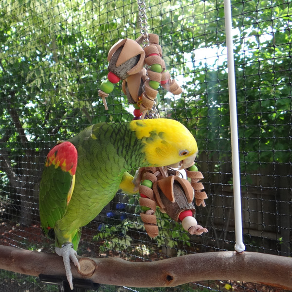 Pablo's Gumnut Strawberries All Natural Bird Toy  - Made in Australia Pablo's Gumnut Strawberries All Natural Bird Toy  - Made in Australia