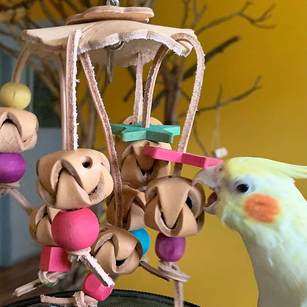 A beautifully crafted and designed foraging toy for our beloved parrots.  There are eight secret storage, what can you put in every morning before going to work to keep your bird entertained!  A beautifully crafted and designed foraging toy for our beloved parrots.  There are eight secret storage, what can you put in every morning before going to work to keep your bird entertained!