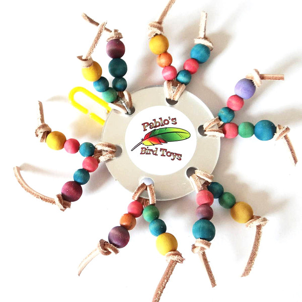 Pablo's Mirror Daisy Bird Toys - Made in Australia Pablo's Mirror Daisy Bird Toys - Made in Australia