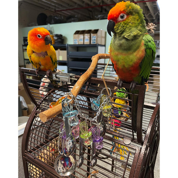 Crafted with high-quality stainless steel and adorned with colorful acrylic pacifiers or rings, this bird toy is designed to catch your bird's eye and keep them entertained with its reflective surfaces and engaging sounds. Crafted with high-quality stainless steel and adorned with colorful acrylic pacifiers or rings, this bird toy is designed to catch your bird's eye and keep them entertained with its reflective surfaces and engaging sounds.