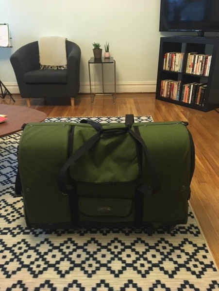 Large Celltei Custom Dog Carrier with wheels and Shoulder and Backpack Straps