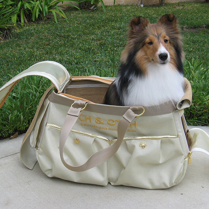 Fashionable Incognito Travel Bag for a well behaved Sheltie