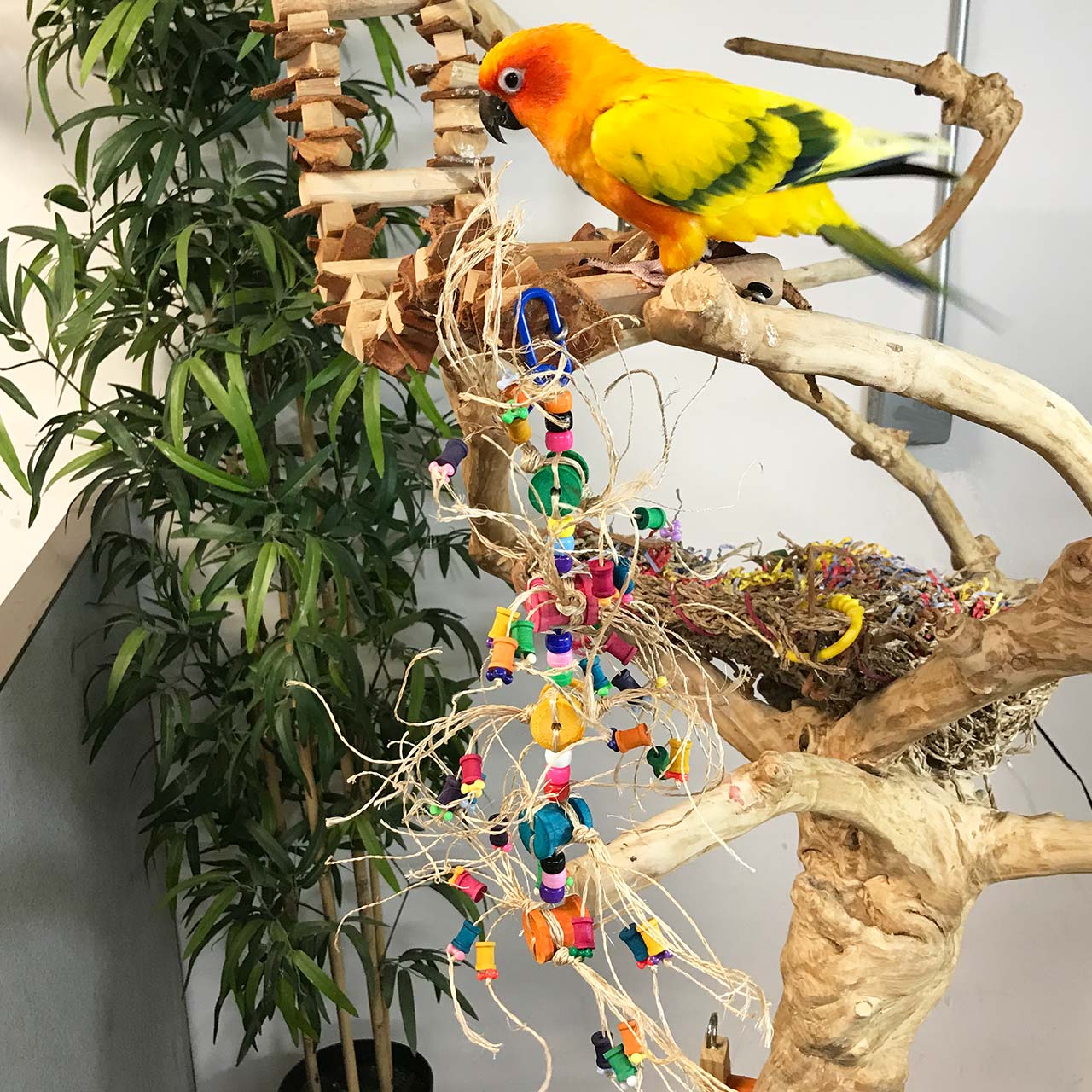 handmade bird toys