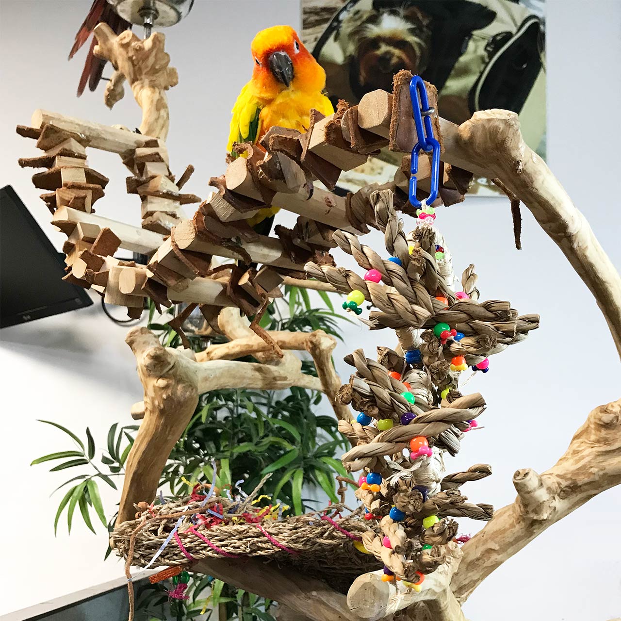 handmade bird toys