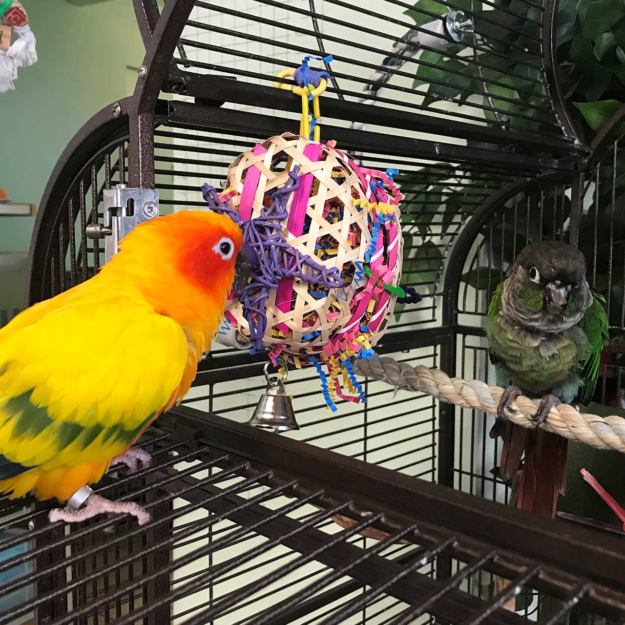bird safe crinkle paper