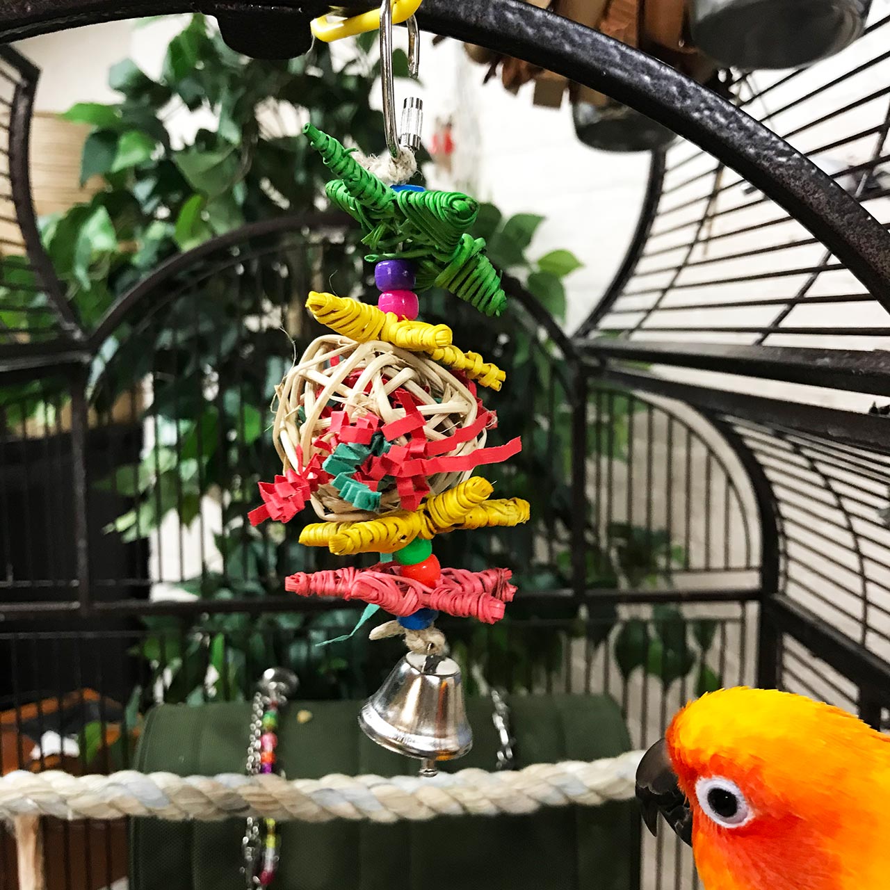 shreddable bird toys