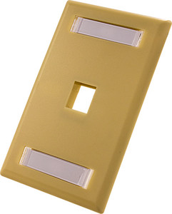 1-PORT-WALL PLATE, W/ID WINDOW 305-306ID/1P/IV 1-PORT-WALL PLATE, W/ID WINDOW 305-306ID/1P/IV