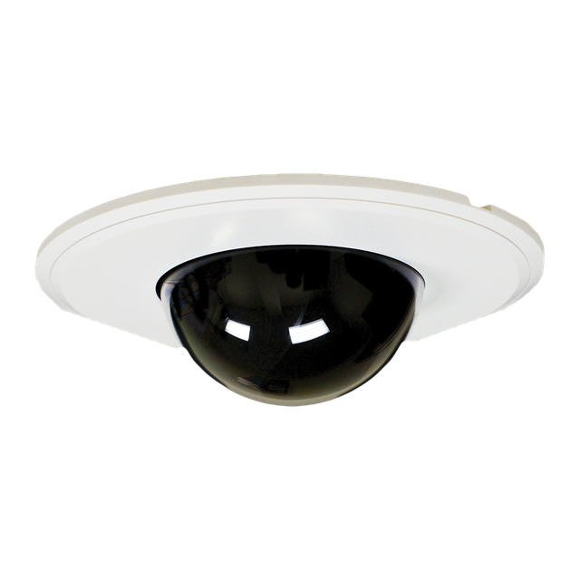 Dome Flush Mount Kit - See Catalog or Spec Sheet for Models Covered