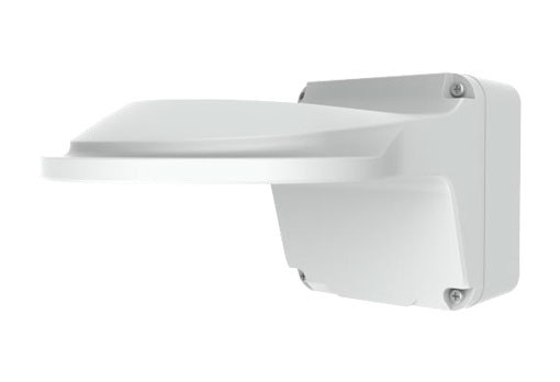 Fixed Dome Outdoor Wall Mount
