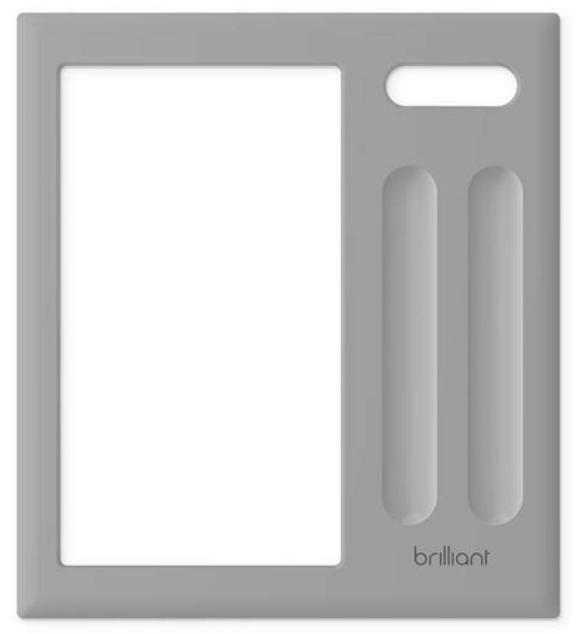 Two Switch Frame Gray