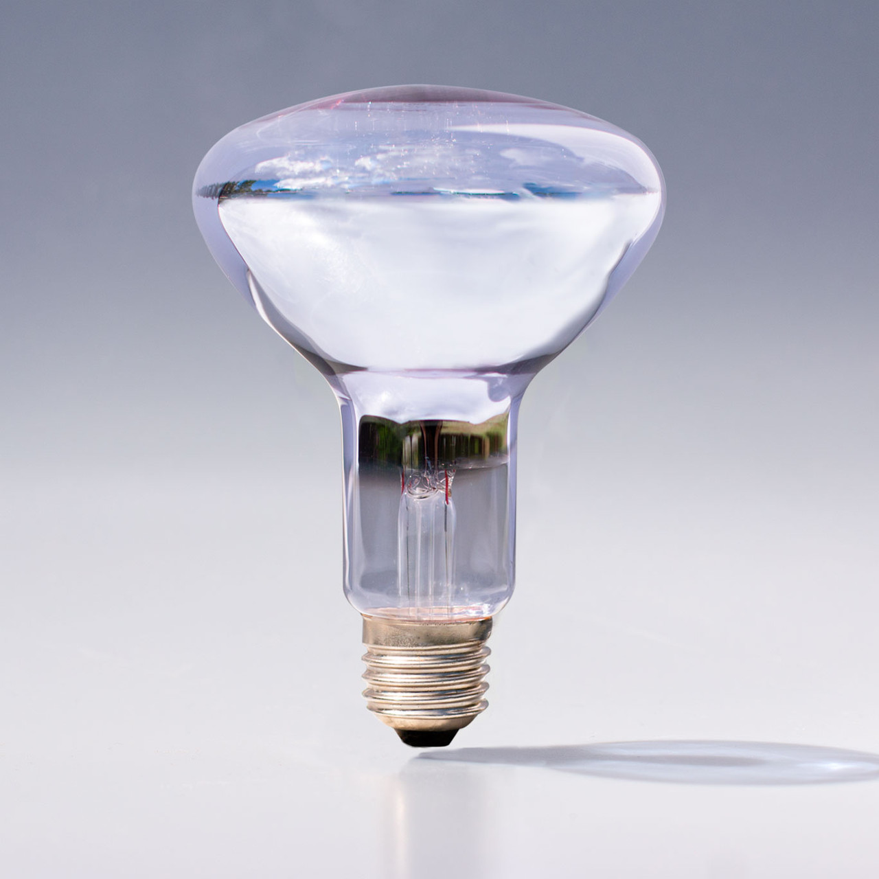 THE BIG 150 WATT Basking light you have been looking for!