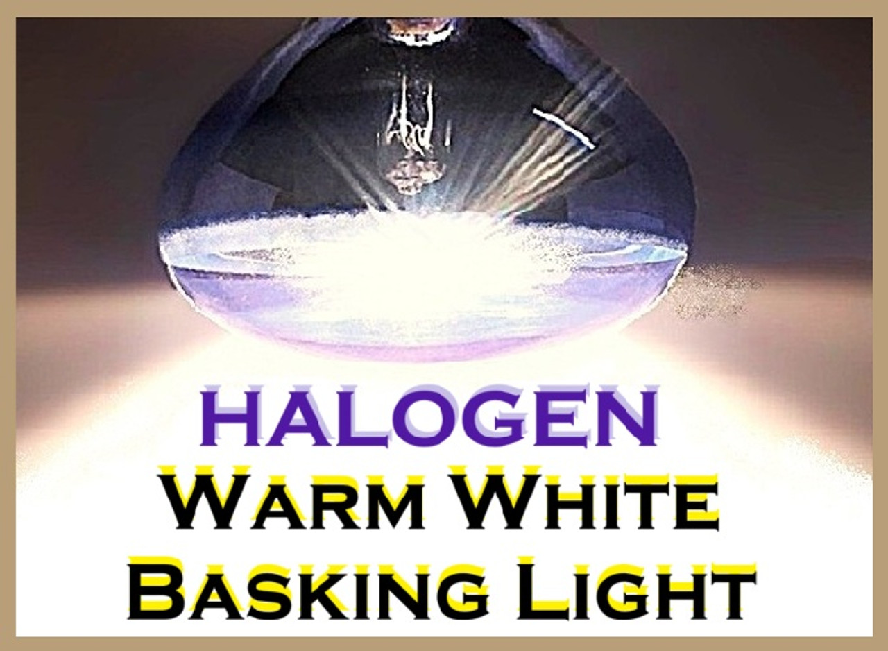 Jungle Heat™ Halogen Basking Bulb 75 watt
